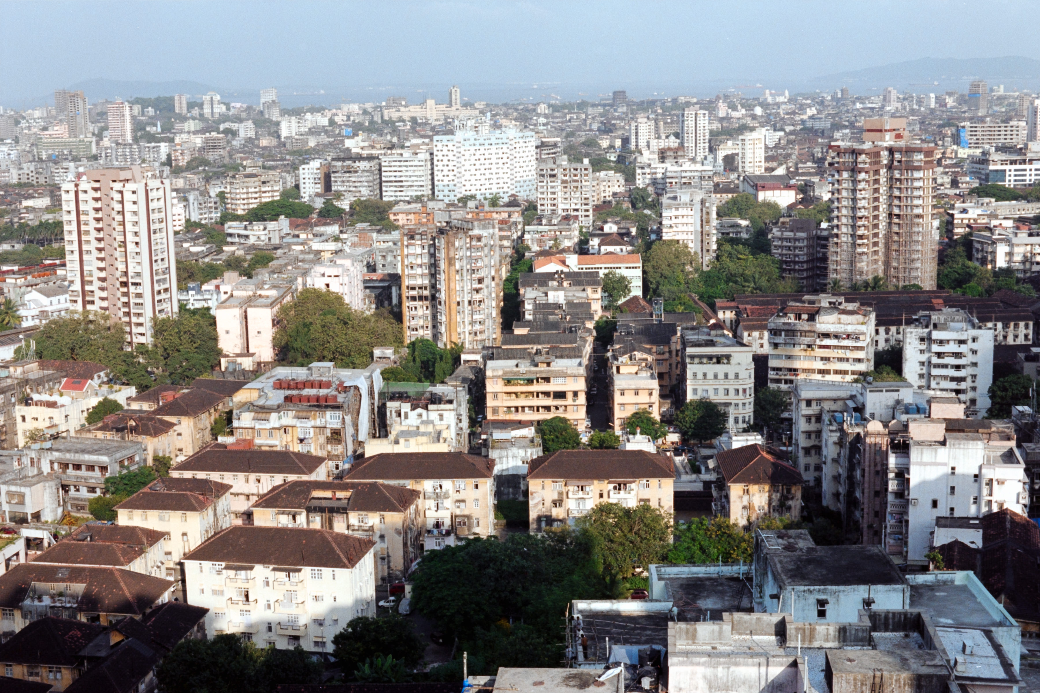 AHP F2004 09 001 sc250526 img15 NLP